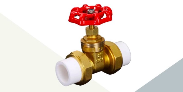 PPR gate valve product