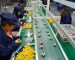 china brass ball valve manufacturer